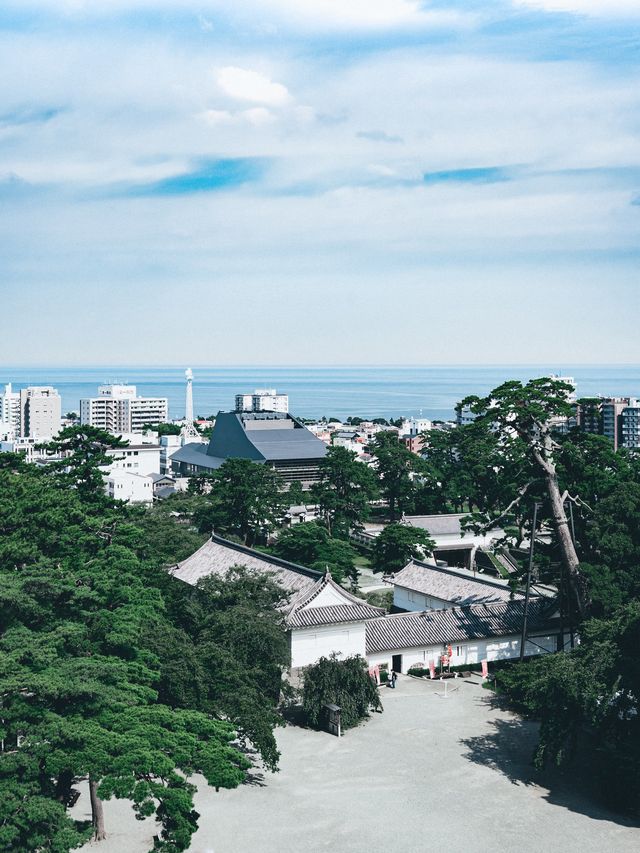 【神奈川県/小田原】意外と楽しめる小田原城🏯行ってみない？