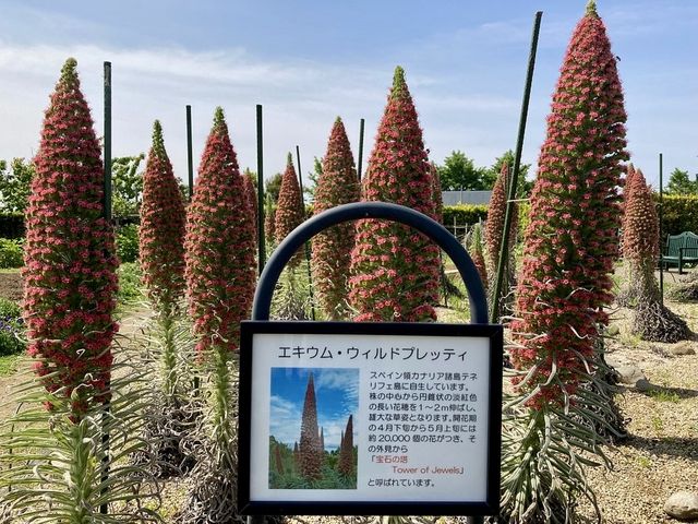 Kanagawa Public Kana Garden