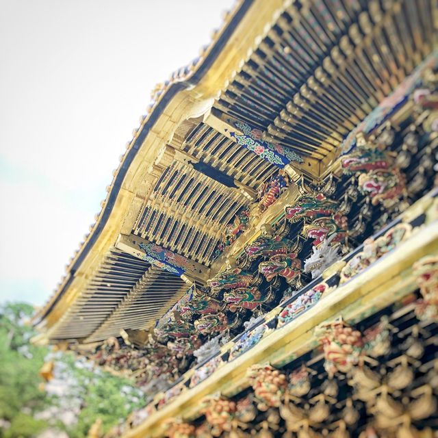東京から日帰り日光