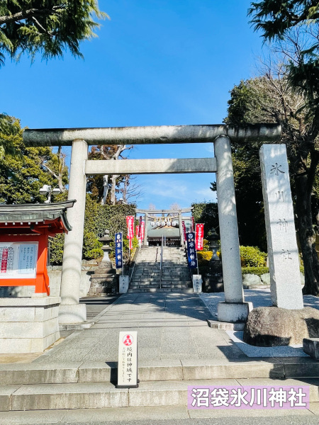 東京都/沼袋氷川神社・瀧野川八幡神社】うぶすな聖地二社巡り | Trip