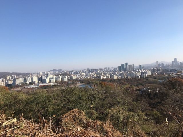 芒草天堂-韓國天空公園