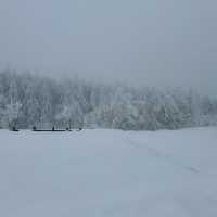대관령에서 발견한 북해도 감성 스팟❄️