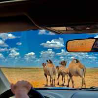 Mongolia: In the land of the eternal blue sky