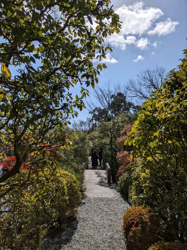 龍安寺の境内の鏡容池(おしどり池)の、水分石(みくまり石)の上には、２羽の鳥が仲良く並んでいた