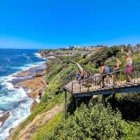 Bondi to Coogee Walk