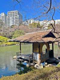 【東京|白金台】無料の日本庭園🌸