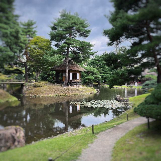 薬草で知られる美しい庭園