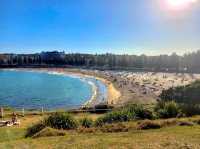 Coogee Beach