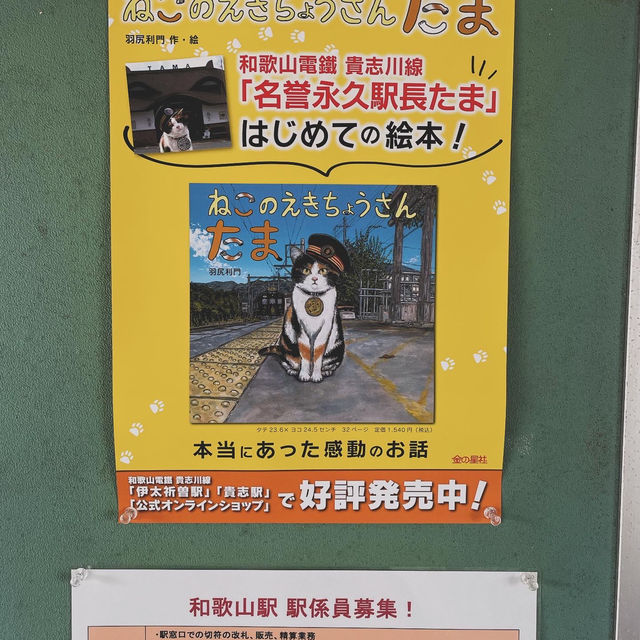 TAMA II (Wakayama electric railway) 