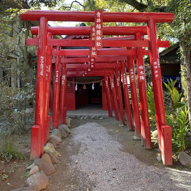 美しい赤色の鳥居に続くお稲荷様