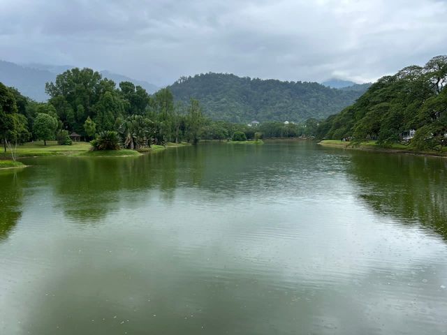 Serene Picturesque Taiping Lake Gardens 🇲🇾
