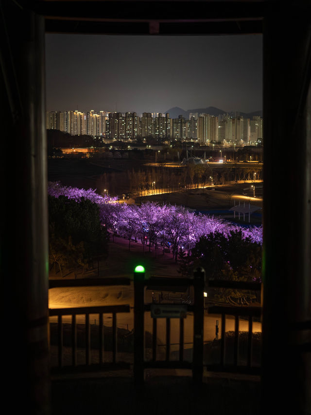 2024년 봄 부터 새롭게 야경 명소로 거듭나는 “시흥갯골생태공원”