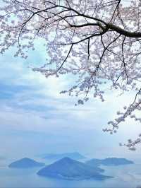 一生に一度は行きたい‼️絶景に会いに行こう🌸