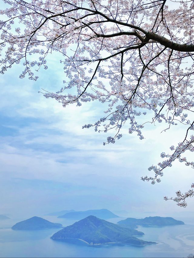 一生に一度は行きたい‼️絶景に会いに行こう🌸