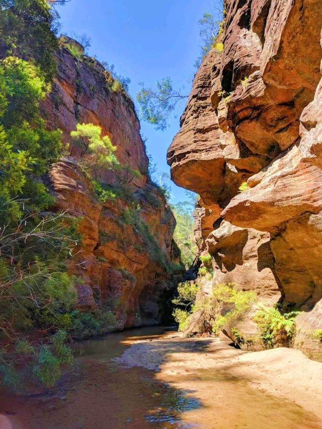 The Blue Mountains 