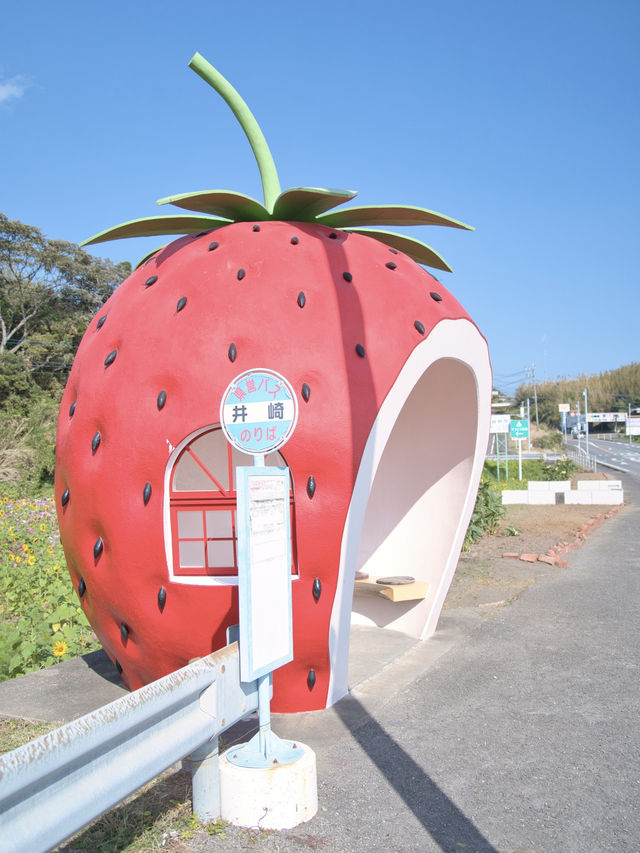 【長崎】どのバス停が好き？🚏フルーツや野菜の形をしたバス停スポットを紹介🔍