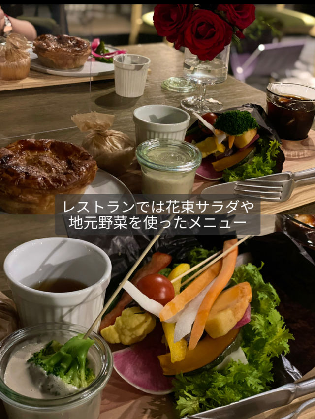 【茨城】森の中にキラキラと輝くシャガの群生 お花の楽園