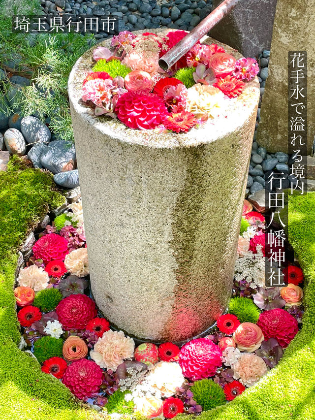 【行田八幡神社／埼玉県】花手水で溢れる境内