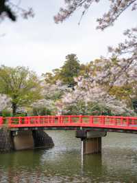 甘木公園　📍福岡