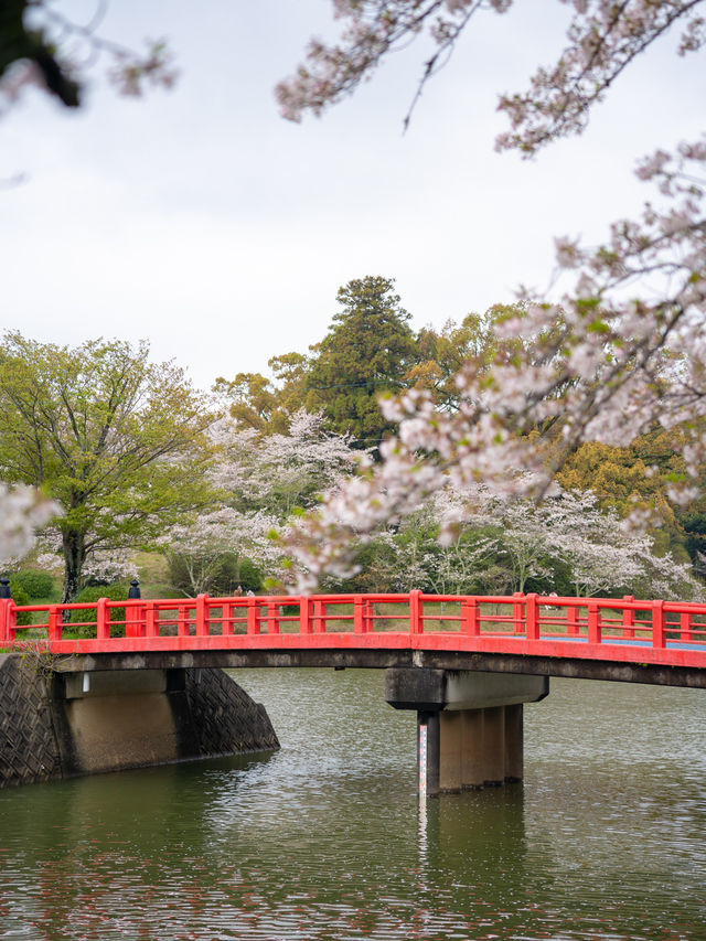 甘木公園　📍福岡