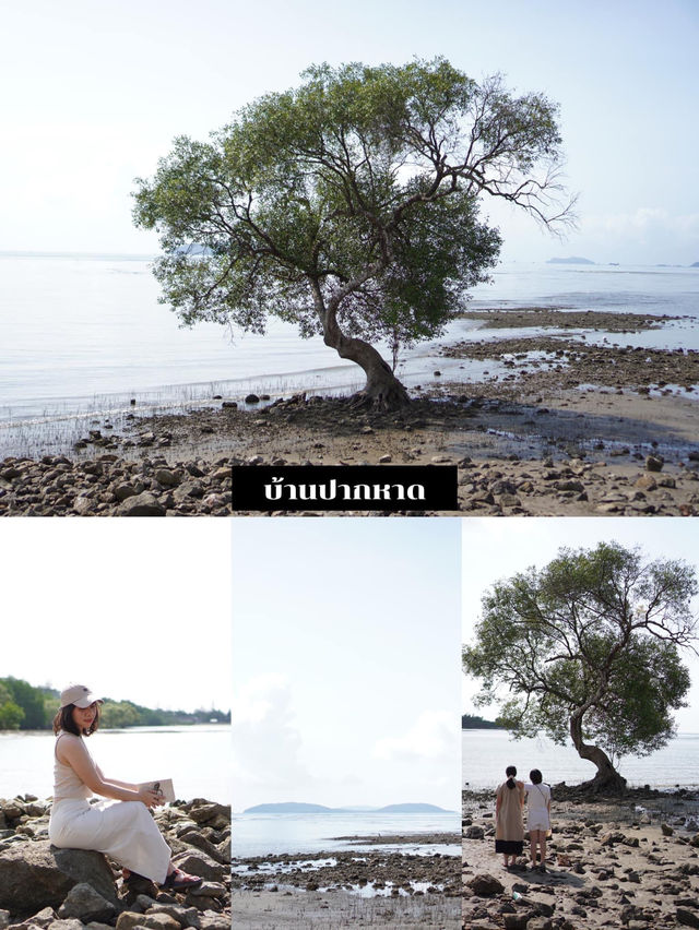 มัดรวม 8 ที่เที่ยวชุมพร