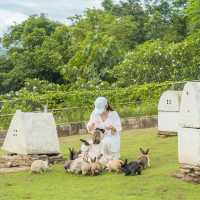 คาเฟ่กระต่ายที่น่ารักที่สุดใน ‘ราชบุรี’