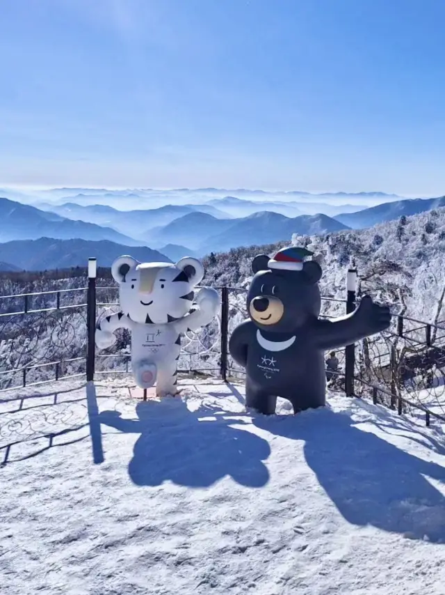 평창 올림픽 마스코트와 산수화같이 아름다운 🏔️ 겨울 설산의 절경을 바라볼 수 있는 ❄️ 평창 여행지 추