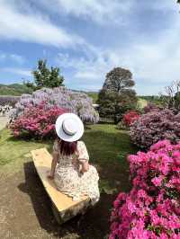 【あしかがフラワーパーク】藤の花の香りに包まれる栃木花巡りはいかが！？