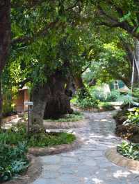 คาร์เฟ่ชิลๆ ฟิลธรรมชาติ The Gardener Cafe