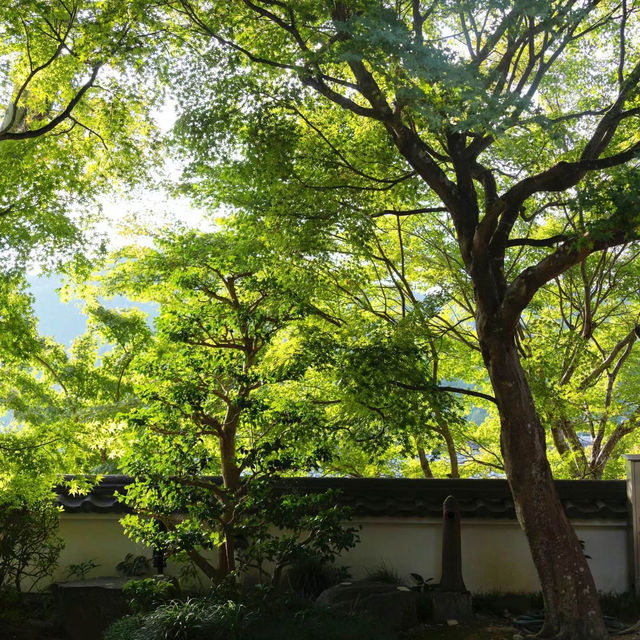 篠憟恩山寺:古色古香 篠憟恩山寺:古色古香