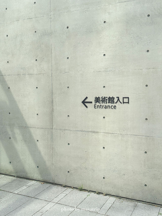 【秋田/秋田市】カフェのリフレクションが美しい美術館