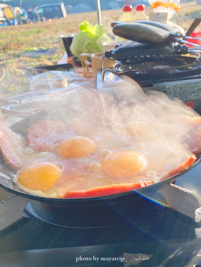 【千葉】星空の下でキャンプ🏕ツリーハウスもあるよ