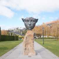 Rose garden in Timaru that you should not miss