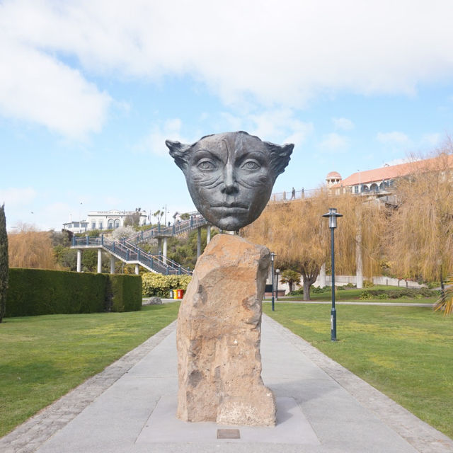 Rose garden in Timaru that you should not miss