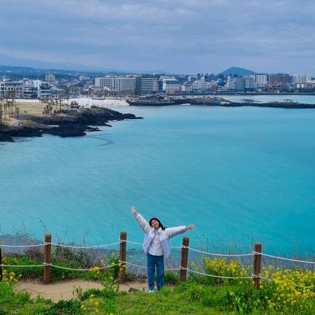 바다까지 보이는 제주도 유채꽃 명소 총정리🌼