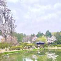 Calming Reflections at Bomunjeong Pavilion