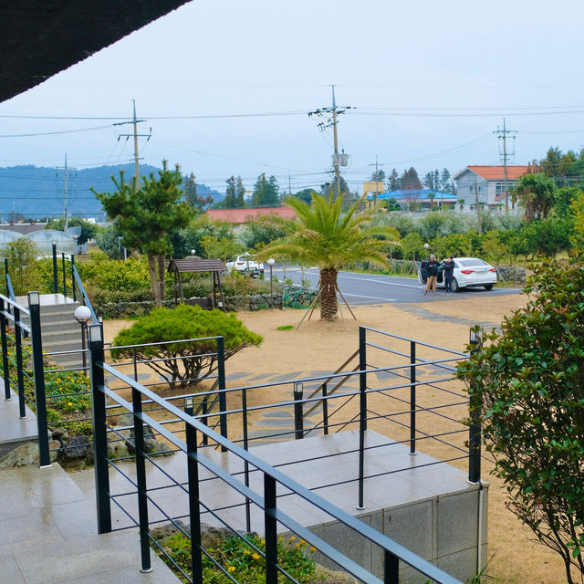 멀리 한라산과 감귤밭이 보이는 고즈넉한 제주 펜션 - 돈내코 펜션