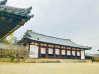 A deep insight into Japan’s Buddhist heritage 🇯🇵