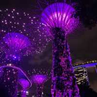 Gardens by the Bay Supertree Grove