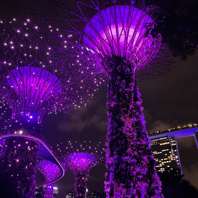 Gardens by the Bay Supertree Grove