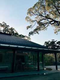 🇯🇵日本福岡景點⛩️ 寶滿宮 竈門神社🌸