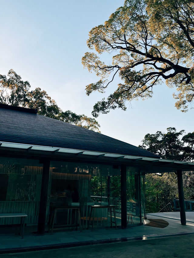 🇯🇵日本福岡景點⛩️ 寶滿宮 竈門神社🌸