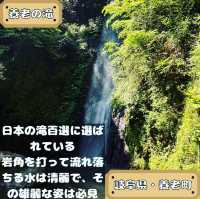 養老の滝