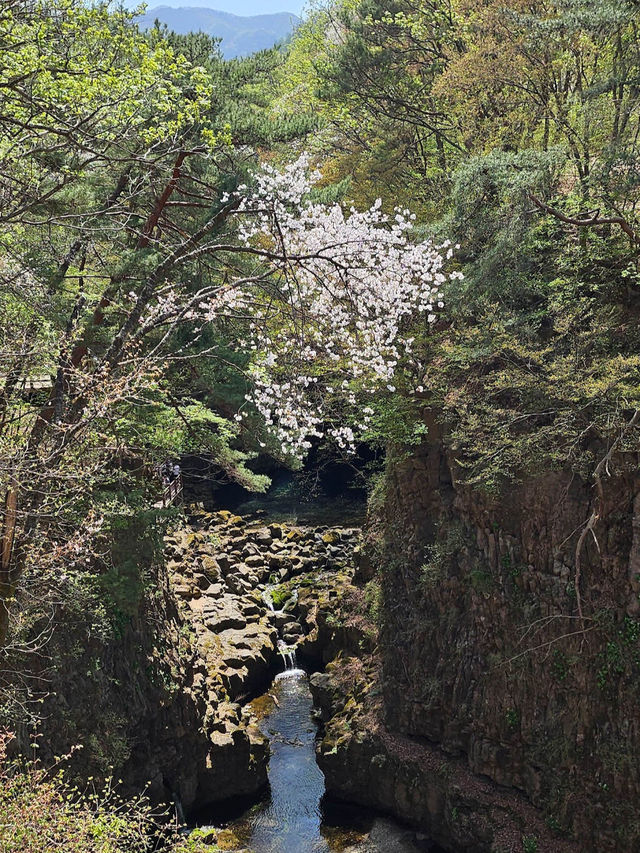 Bidulginang Cascade