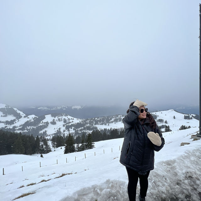 Babies Across Switzerland