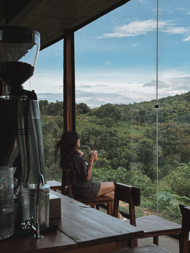 TASANA คาเฟ่น้องใหม่กลางหุบเขา 🏞️☁️