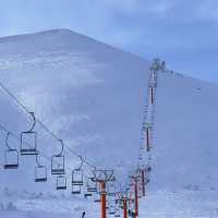 「神居滑雪場」刺激滑雪勝地