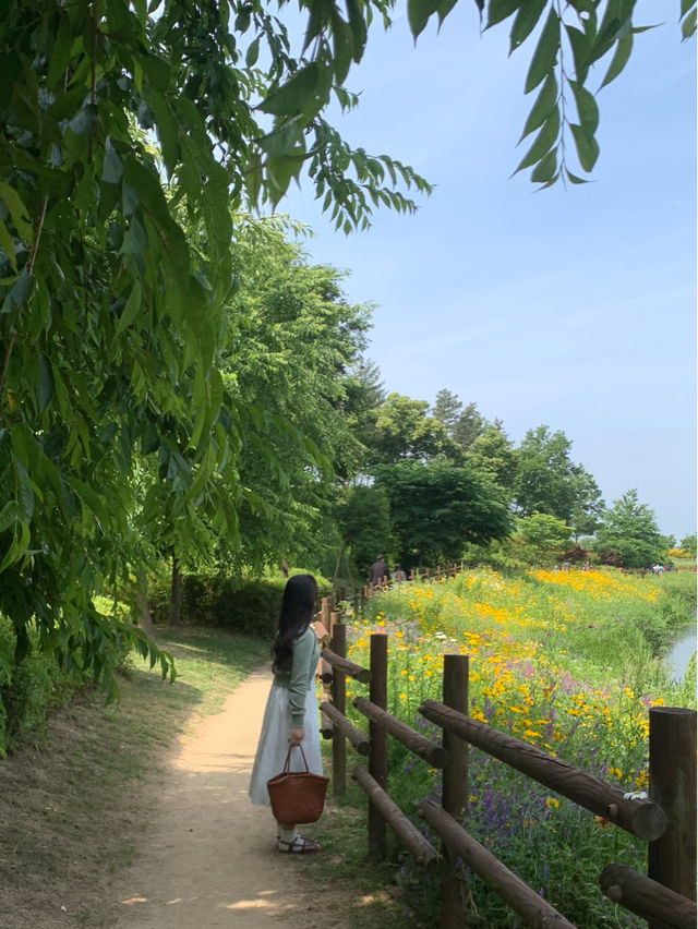 사계절 이쁜 함안 악양생태공원