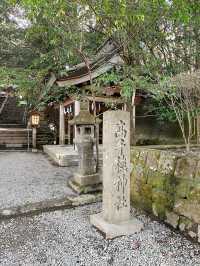 ✈️九州宮崎縣求夫妻和順的高千穗神社🤎
