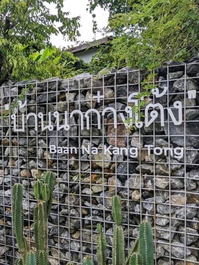 Rainy Day - บ้านนาก๋างโต้ง คาเฟ่กลางทุ่งนา